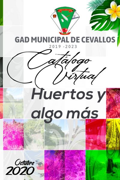 01-1-portada-14DB65BCC-E921-1ABA-995A-68B8AA6B8ACA.jpg