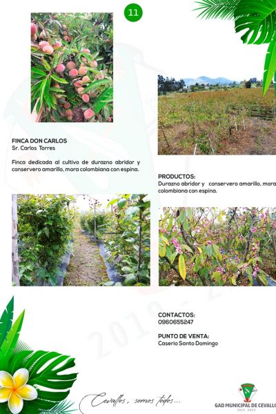 11-granjas-f80A86702-F8BE-4499-00C3-2E412E7E89E0.jpg